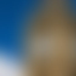 The Unappreciated Reality of the Male Biological Clock: Men have a fertility cliff too!