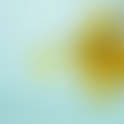 A Guide To The Best Fertility Supplements And Vitamins For Male Fertility